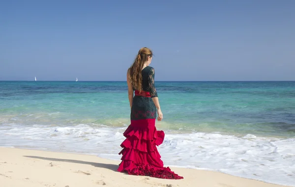 Flamenco e oceano — Fotografia de Stock