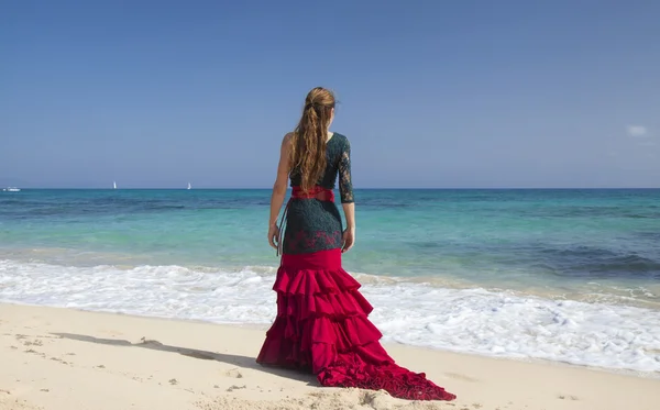 Flamenco and ocean — Stock Photo, Image