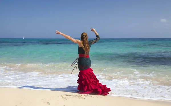 Flamenco y océano —  Fotos de Stock