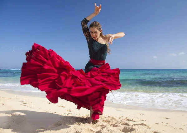 Flamenco e oceano — Foto Stock