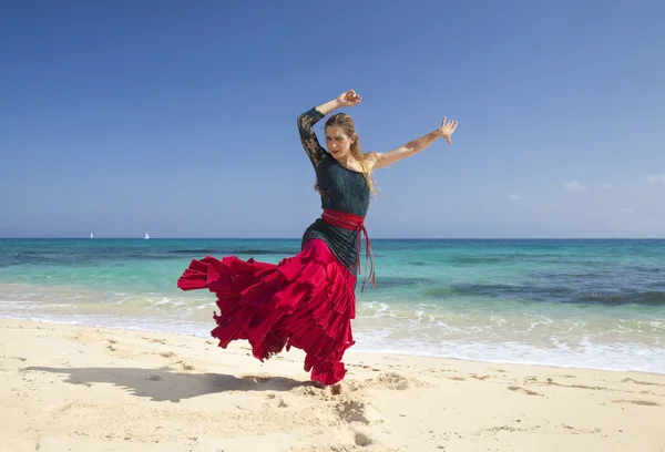 Flamenco e oceano — Fotografia de Stock