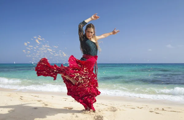 Flamenco and ocean — Stock Photo, Image