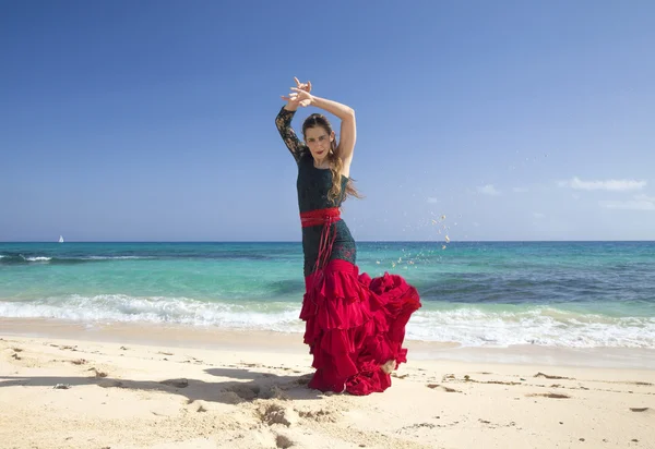 Flamenco and ocean — Stock Photo, Image