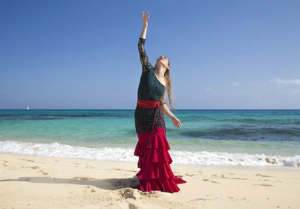 Flamenco en Oceaan — Stockfoto