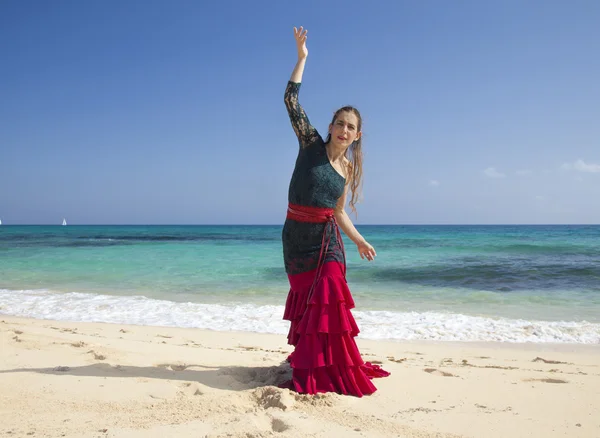 Flamenco and ocean — Stock Photo, Image