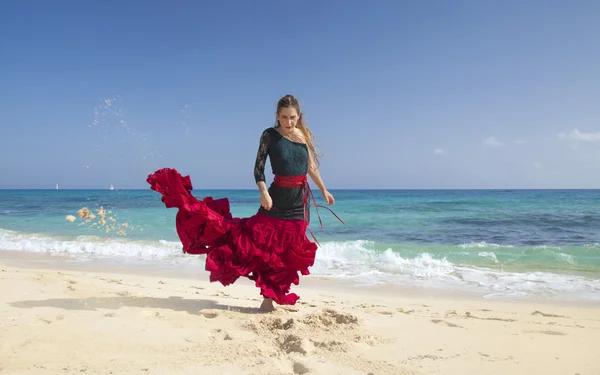 Flamenco and ocean — Stock Photo, Image