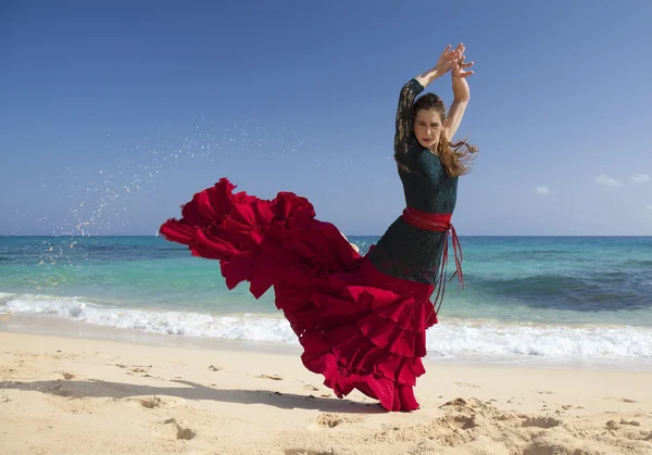 Flamenco and ocean — Stock Photo, Image