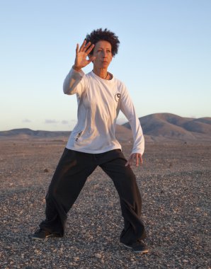 Tai chi gün batımında