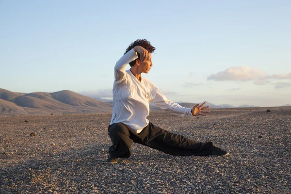 Tai Chi bei Sonnenuntergang — Stockfoto