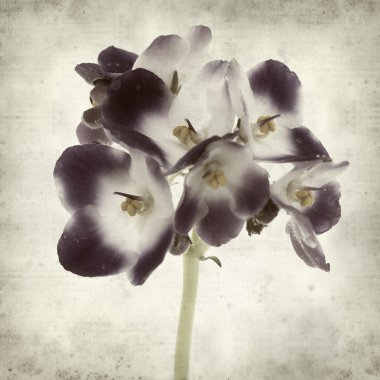 desenli eski kağıt arkaplan  