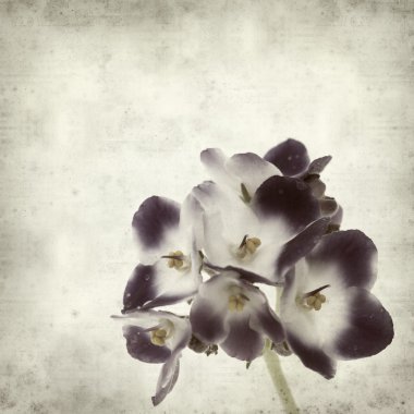 desenli eski kağıt arkaplan  