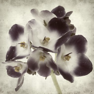 desenli eski kağıt arkaplan  