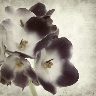 desenli eski kağıt arkaplan  