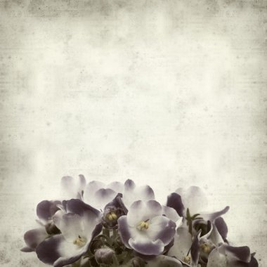 desenli eski kağıt arkaplan  