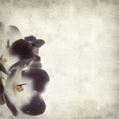 desenli eski kağıt arkaplan  