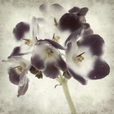 desenli eski kağıt arkaplan  