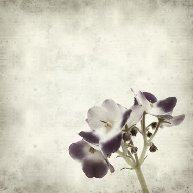 desenli eski kağıt arkaplan  