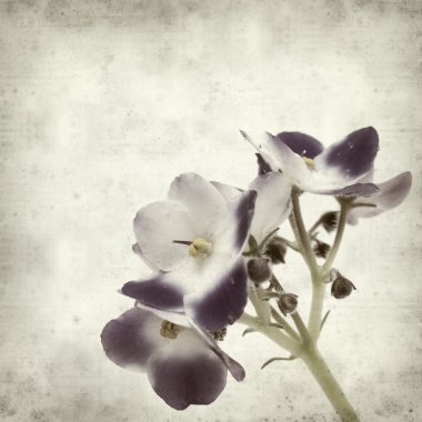 desenli eski kağıt arkaplan  