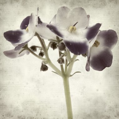 desenli eski kağıt arkaplan  