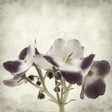 desenli eski kağıt arkaplan  