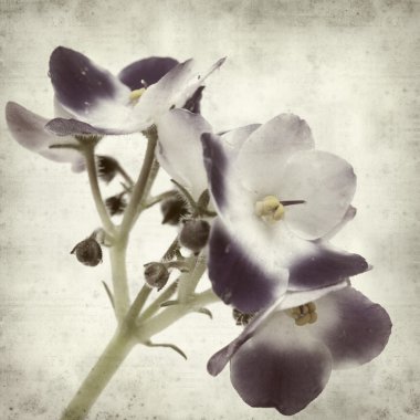 desenli eski kağıt arkaplan  