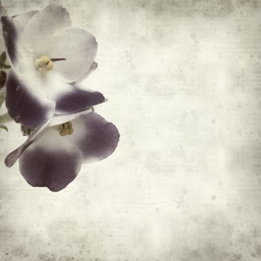 desenli eski kağıt arkaplan  