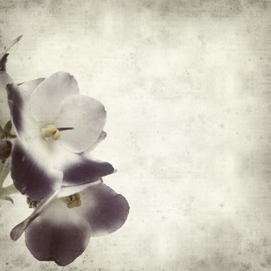 desenli eski kağıt arkaplan  