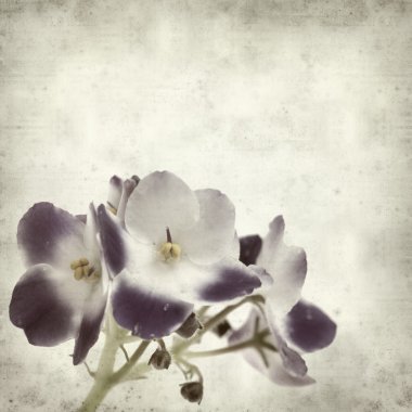 desenli eski kağıt arkaplan  