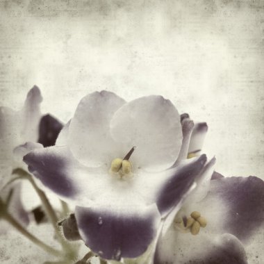 desenli eski kağıt arkaplan  