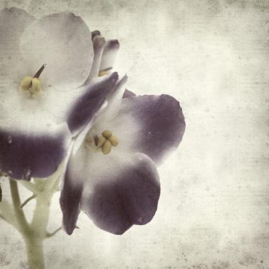 desenli eski kağıt arkaplan  