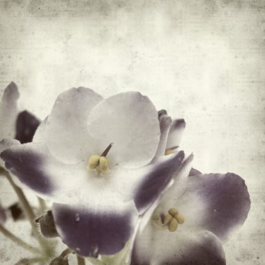 desenli eski kağıt arkaplan  