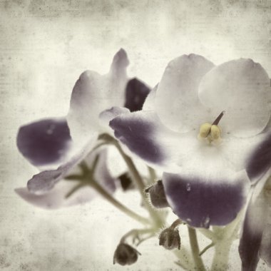 desenli eski kağıt arkaplan  