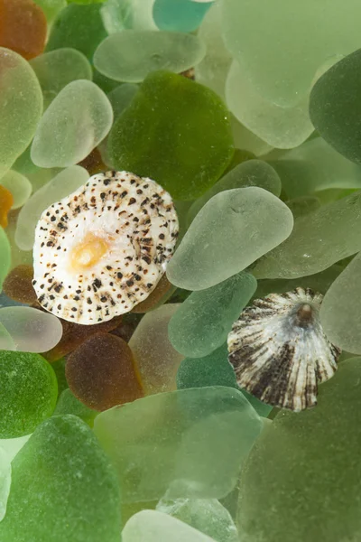 Vidrio de mar y lapas en agua — Foto de Stock