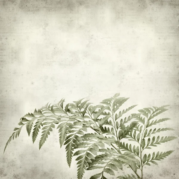 Textured old paper background — Stock Photo, Image