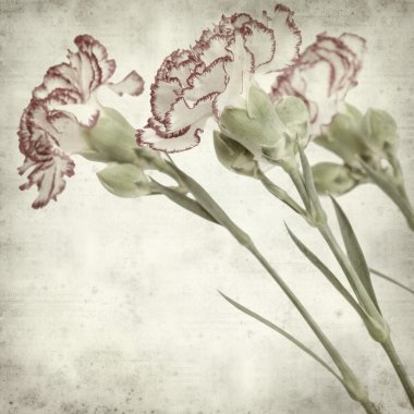 desenli eski kağıt arkaplan  