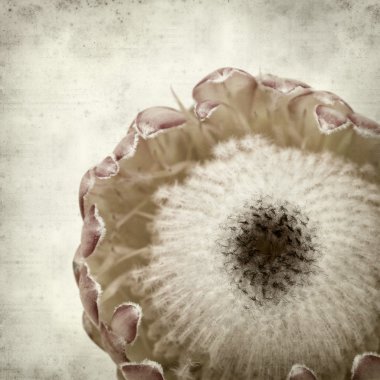 desenli eski kağıt arkaplan  