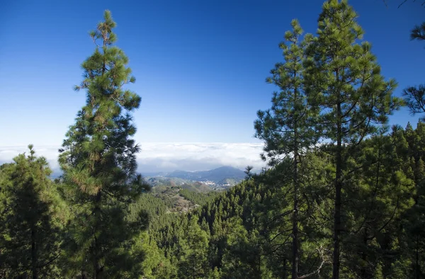 Śródlądowych centrum Gran Canaria, Las Cumbres, najwyższe obszary t — Zdjęcie stockowe
