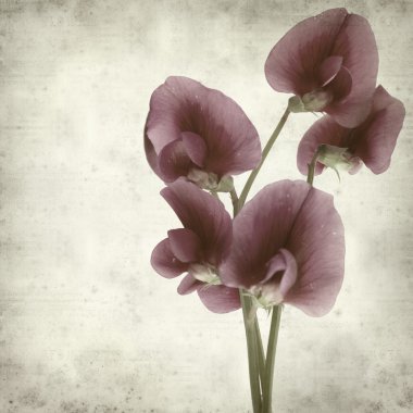 desenli eski kağıt arkaplan  