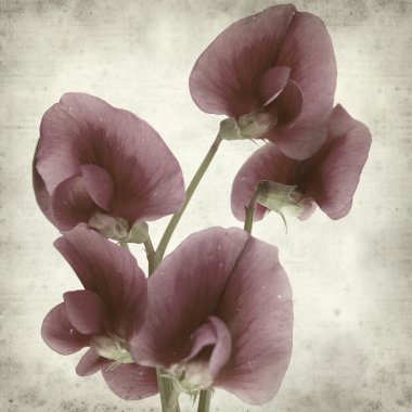 desenli eski kağıt arkaplan  