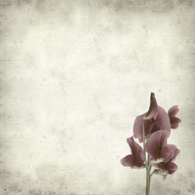 desenli eski kağıt arkaplan  