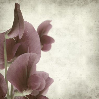 desenli eski kağıt arkaplan  