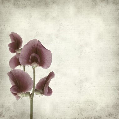 desenli eski kağıt arkaplan  