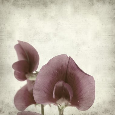 desenli eski kağıt arkaplan  