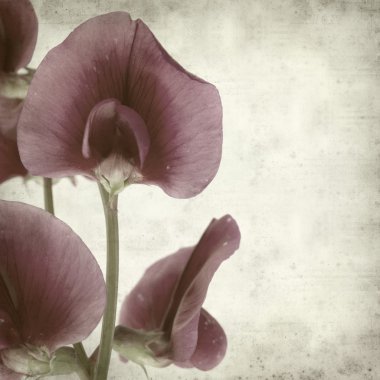 desenli eski kağıt arkaplan  