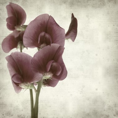 desenli eski kağıt arkaplan  