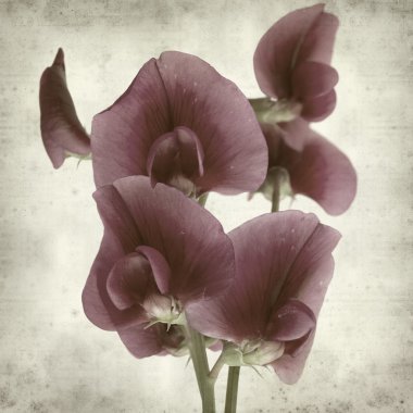 desenli eski kağıt arkaplan  