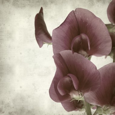 desenli eski kağıt arkaplan  