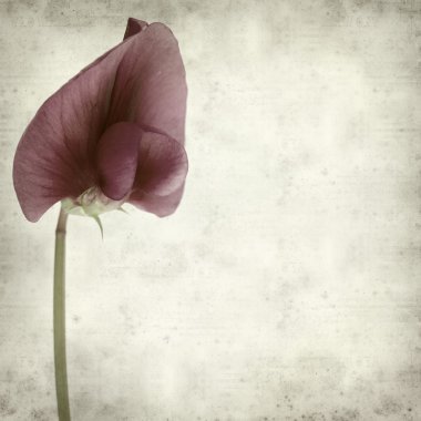 desenli eski kağıt arkaplan  