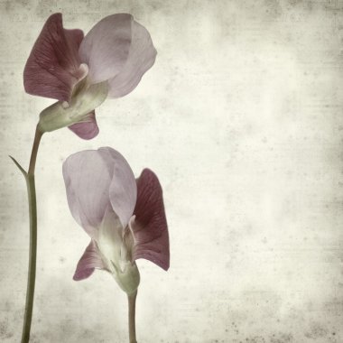 desenli eski kağıt arkaplan  