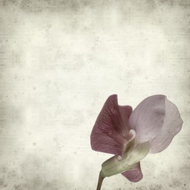 desenli eski kağıt arkaplan  